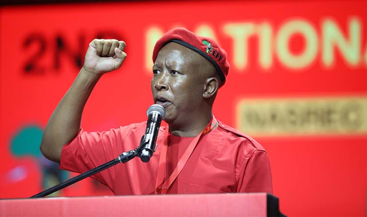 South Africa should send an Army to Mozambique at the request of the Government to stop senseless killings, Julius Malema said