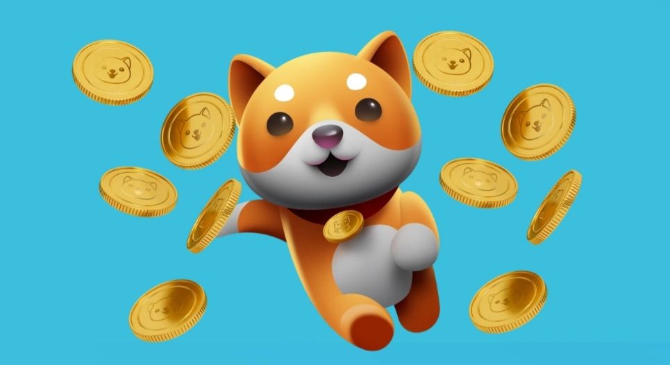 How To Buy Baby Doge Coin