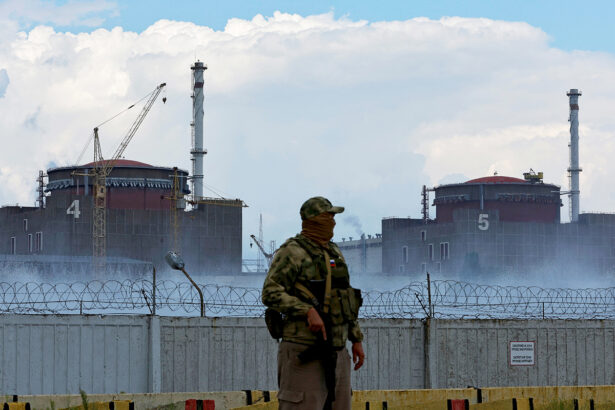 Should Russia Return The Nuclear Plant As Call For Demilitarization Unfold