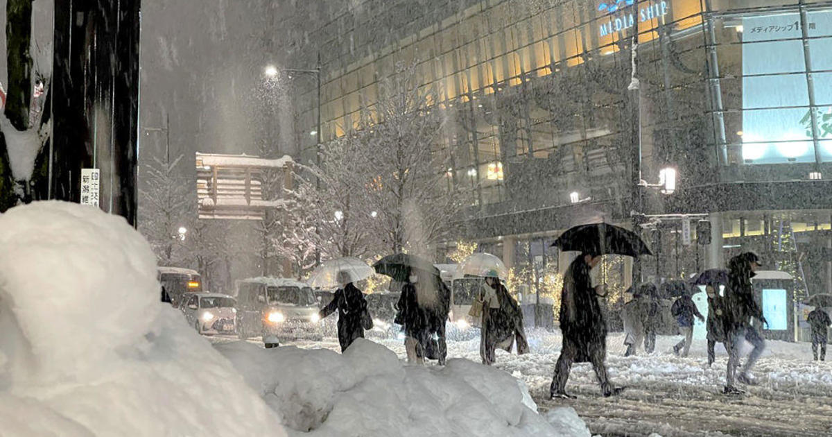 Heavy Snowfall In Japan Leaves 17 Dead, Dozens Injured