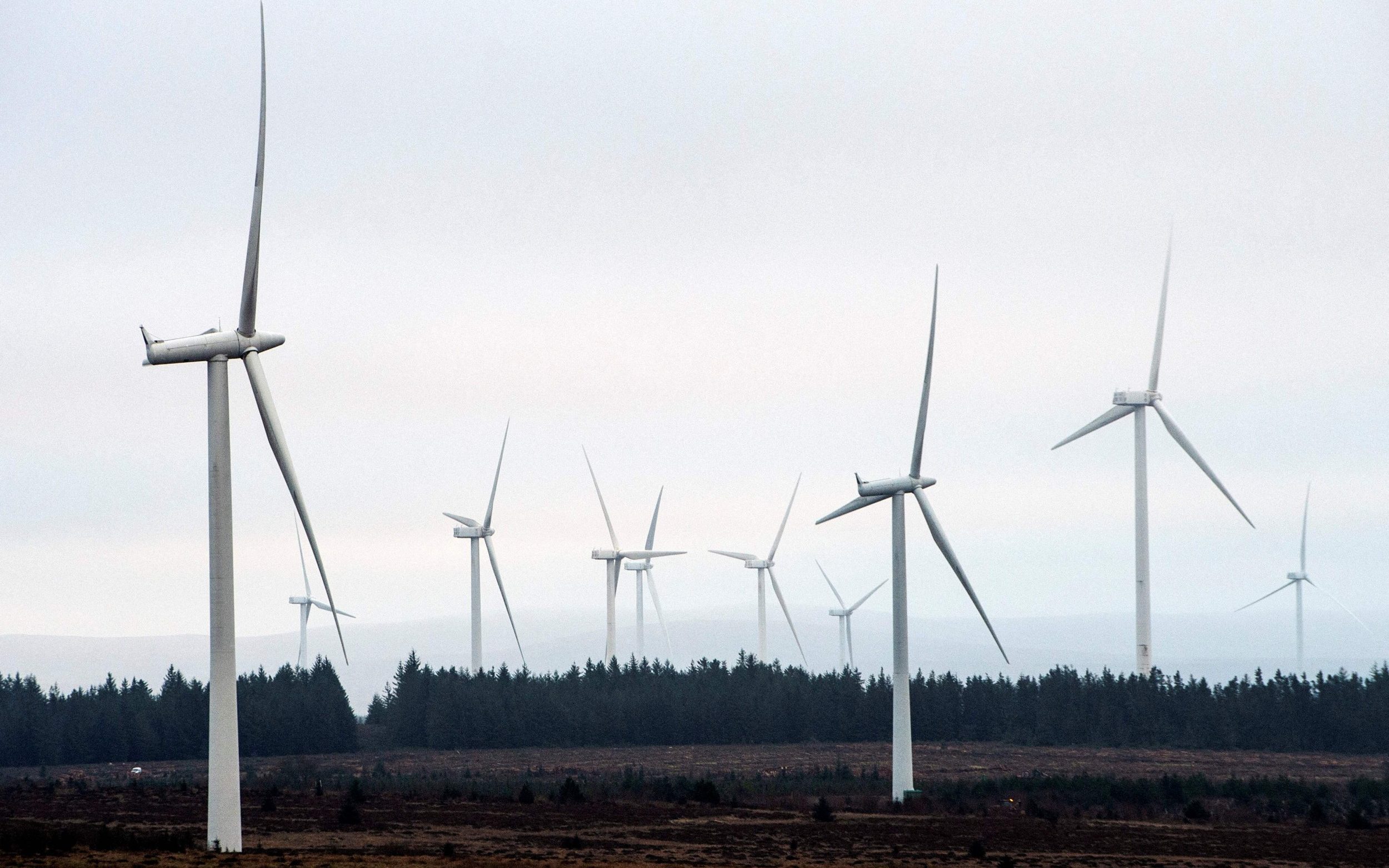 Wind Generated A Record Percentage Of Electricity In 2022