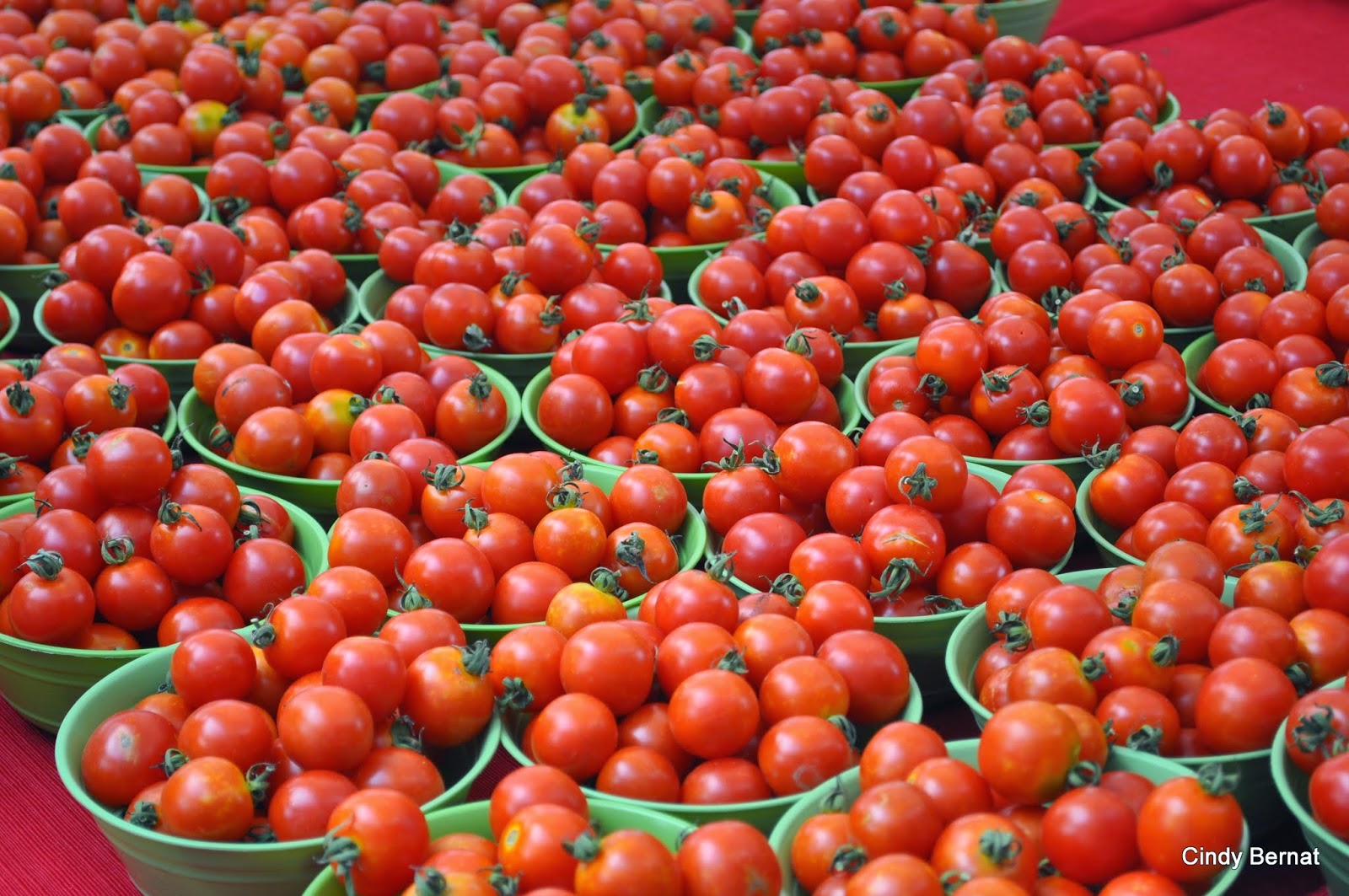 Government Actions May Causes Tomato Shortage, Say Growers Union