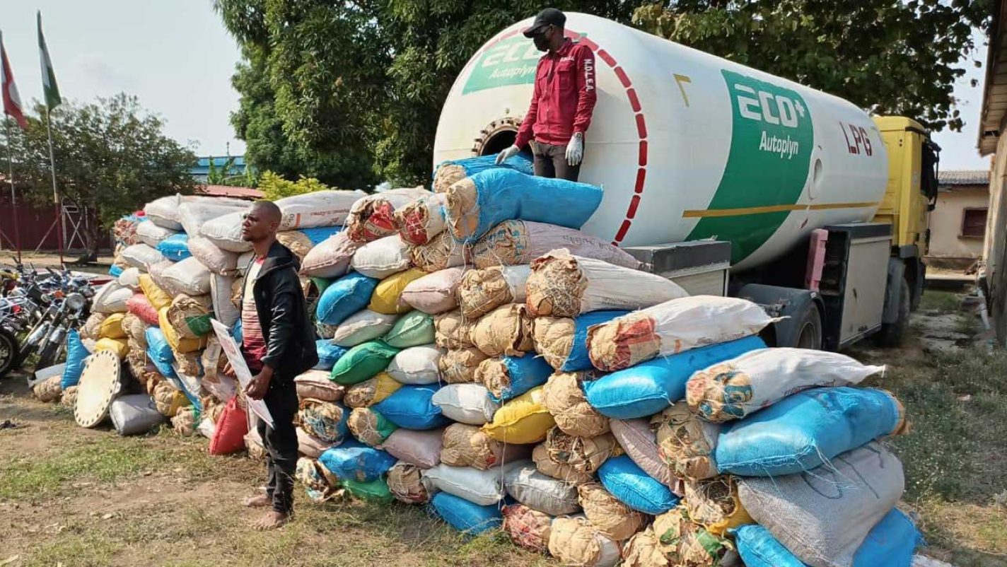 Ondo's NDLEA Detains A Man With 228 Kg Of Marijuana