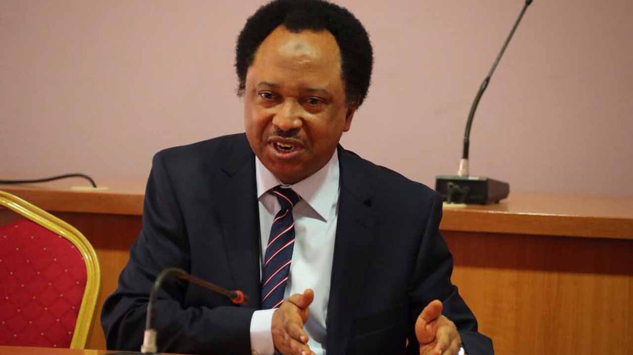 Same Northerners Who Supported Tinubu Want To Checkmate Him - Senate President Shehu Sani