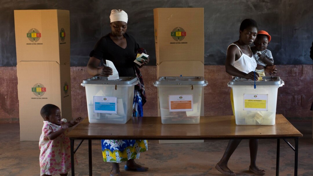 Zimbabwe: Voters "Intimidated" On The Phone, Says NGO