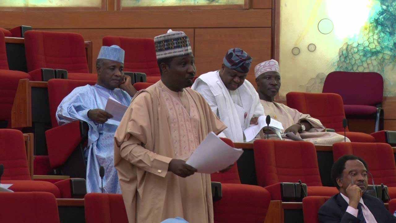 Senate Presidency: Arewa Youths Insist On Barau