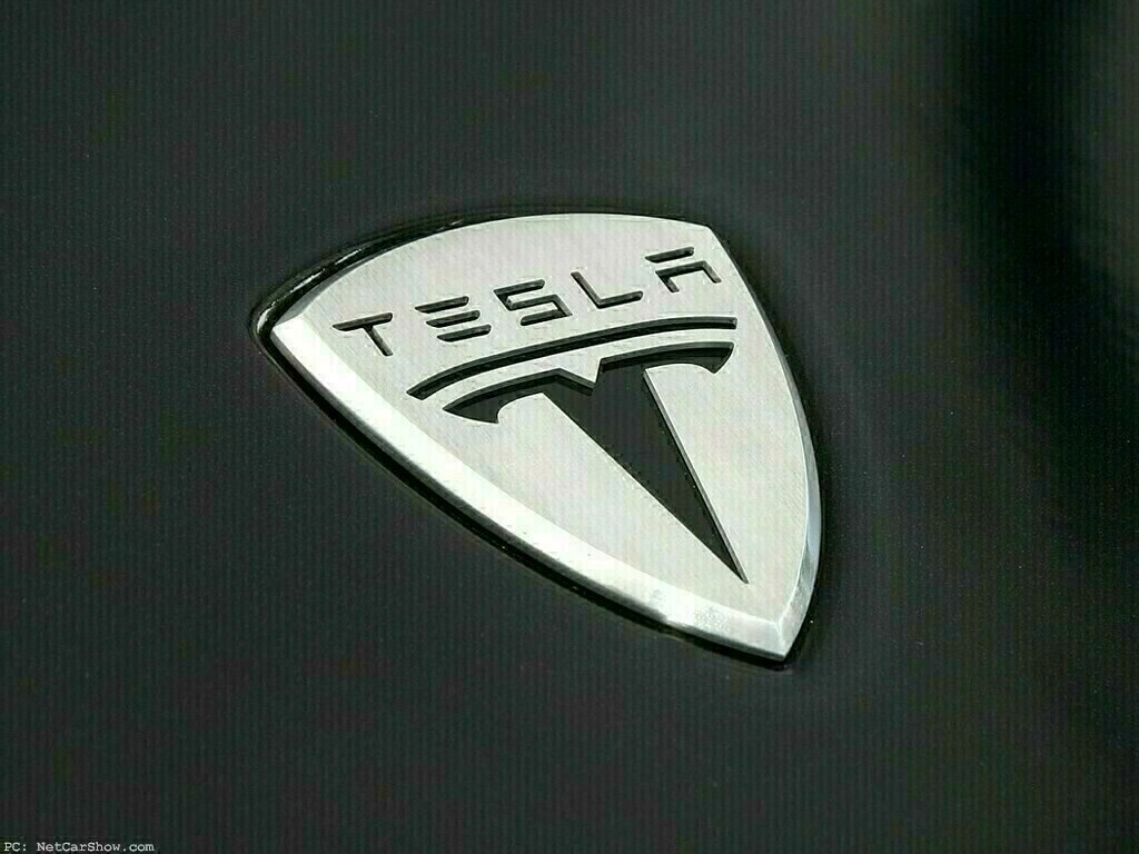 Tesla to double its components imports from India - Trade Minister