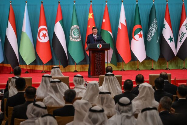 Arab League Forum Declares Support For One-Chinese Policy Calling For Intervention From Beijing