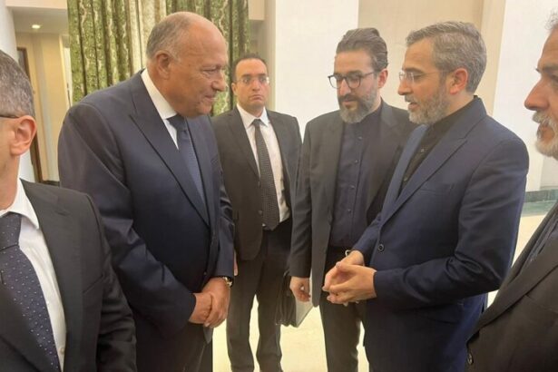 Egyptian Foreign Minister Sameh Shoukry Arrives in Tehran for Funeral of Iranian President Ebrahim Raisi