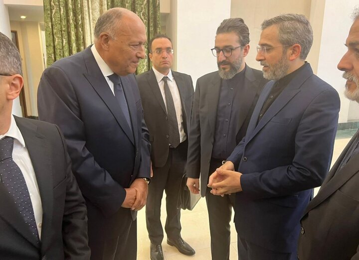 Egyptian Foreign Minister Sameh Shoukry Arrives in Tehran for Funeral of Iranian President Ebrahim Raisi