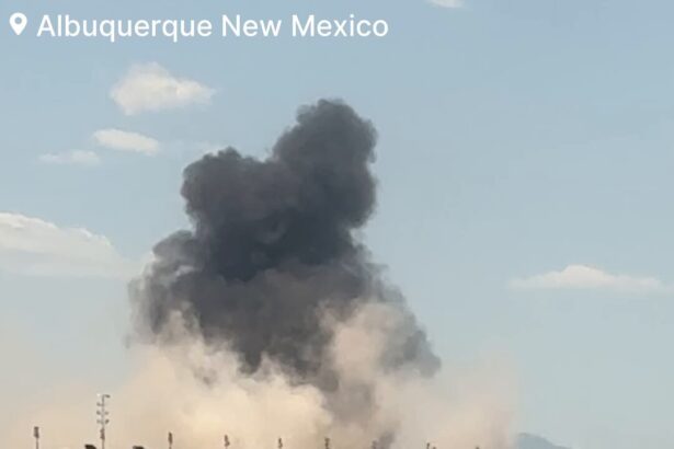 F-35 Military Jet Crashed During Takeoff At Albuquerque Airport