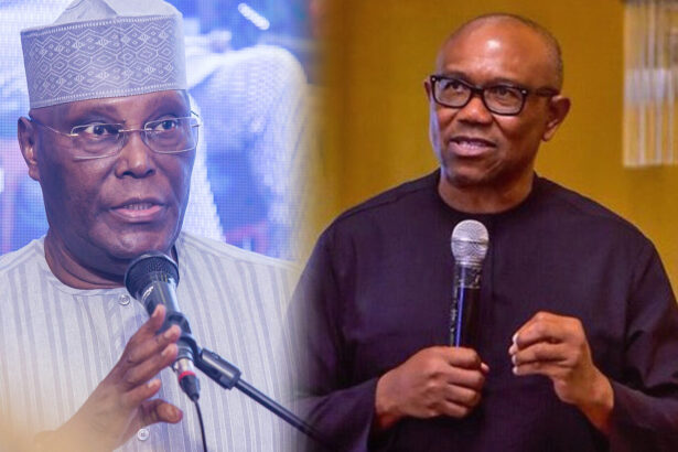 Atiku Abubakar, Peter Obi