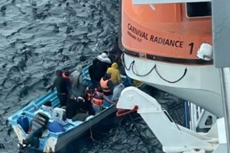 25 Stranded People On The Coast Of Mexico Rescued By Cruise Ship