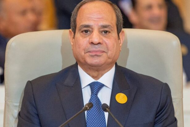 Egyptian President El-Sisi Instructs Formation of New Government