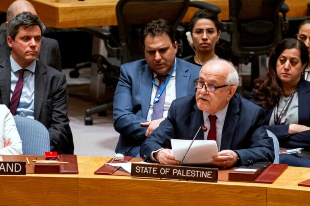 UN Experts Call for Global Recognition of Palestinian State