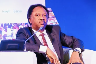 Shehu Sani Condemn Northern Politicians, Describe Visit To Buhari As Plot To Oust Tinubu