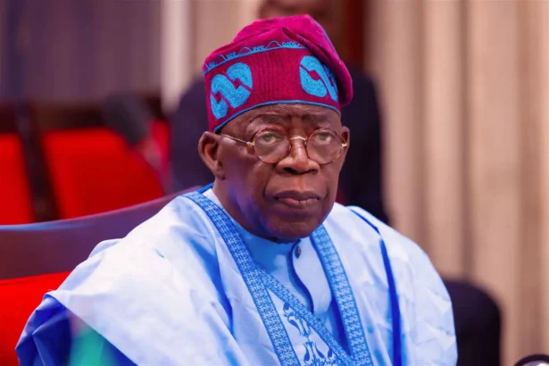 Tinubu Seeks FBI Cooperation in Combating Cybercrime and Terrorism