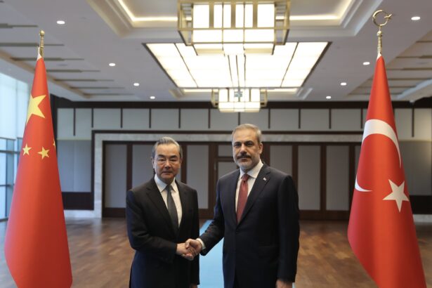 Turkey And China FM Meets To Strengthen Relationships Over Peace In Palestine