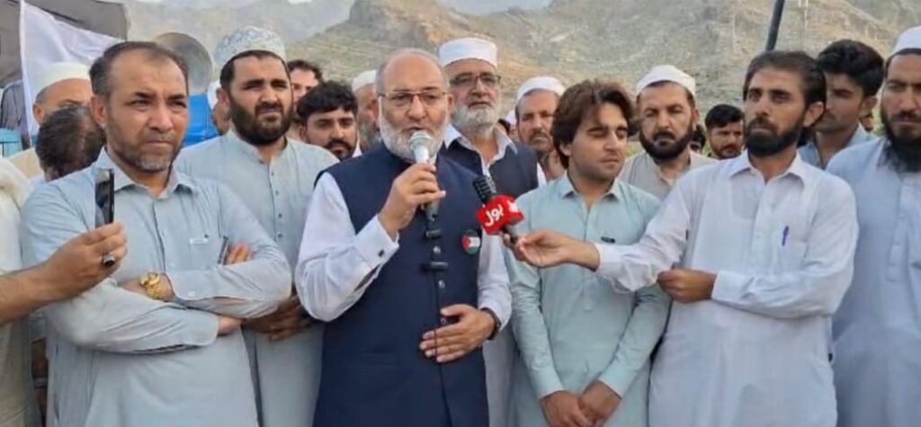 JI Leader Demands Suo-Moto Action Against Journalist's Killing