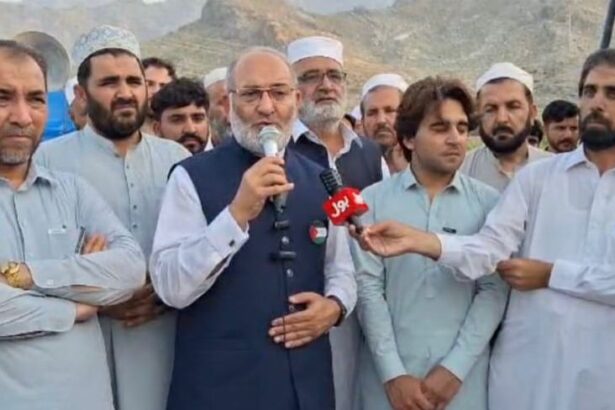 JI Leader Demands Suo-Moto Action Against Journalist Killing