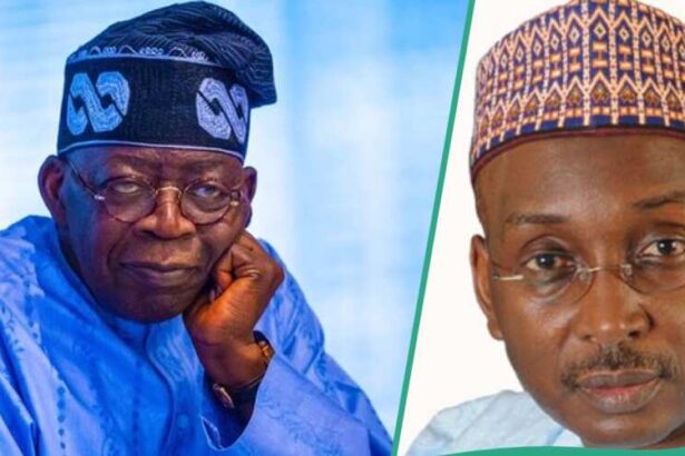 Former APC Leader Calls for End to Tinubu's Unplanned Leadership by 2027