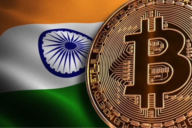 India to Release Consultation Paper on Cryptocurrency Regulations by Late 2024