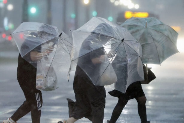 Typhoon Shanshan Brings Torrential Rain and Disruption Across Japan