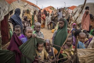 UN Report: 63% of Somali Children Face Severe Food Poverty Amid Ongoing Crisis