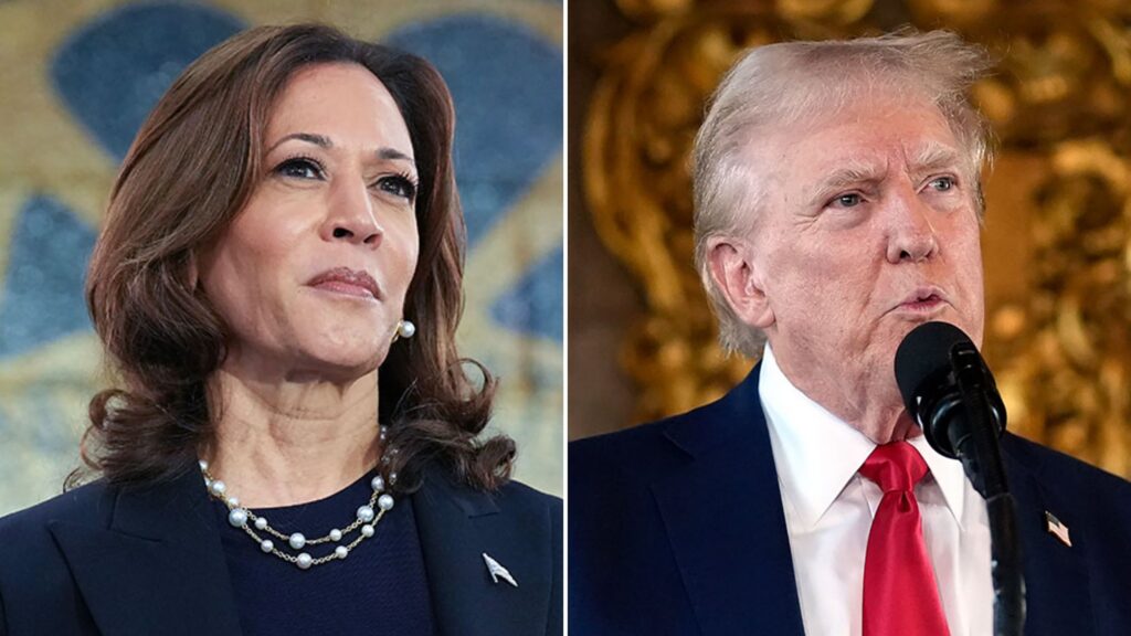 Harris and Trump Amplify 2024 Campaign Efforts as Election Day Nears