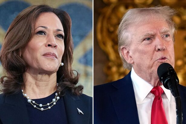 Harris and Trump Amplify 2024 Campaign Efforts as Election Day Nears