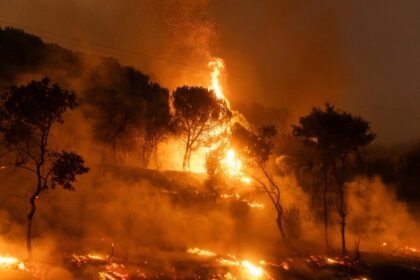 Two Found Dead Near Wildfire in Central Greece Amid Ongoing Firefighting Efforts