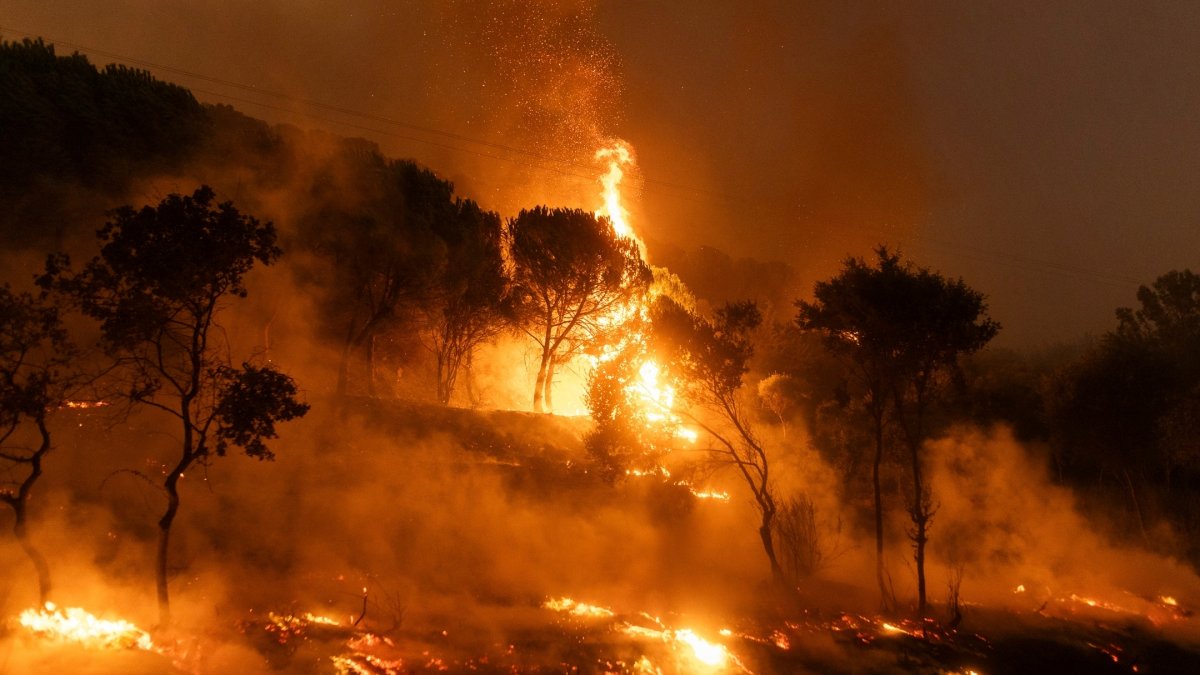 Two Found Dead Near Wildfire in Central Greece Amid Ongoing Firefighting Efforts