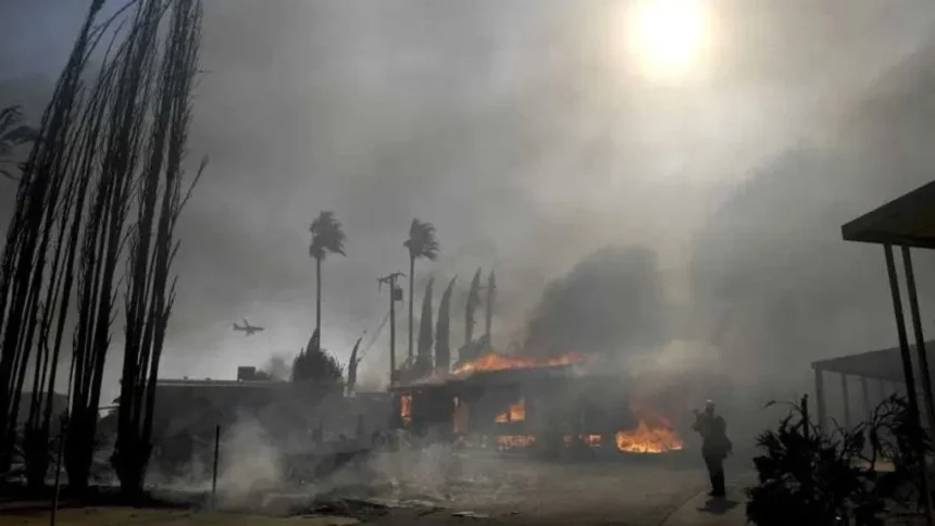 Wildfires Sweep Through Los Angeles, Enveloping City in Thick Smoke