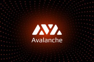 Avalanche Launches Visa Card for Cryptocurrency Payments