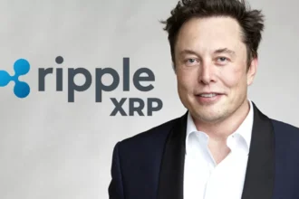 Elon Musk Spotlights XRP and Cryptocurrency Promise Despite Regulatory Challenges