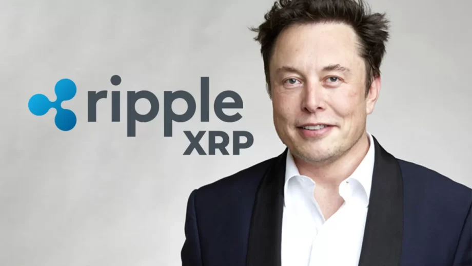 Elon Musk Spotlights XRP and Cryptocurrency Promise Despite Regulatory Challenges