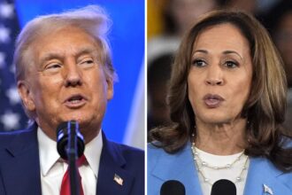 Kamala Harris Positions Herself as Champion of Auto Workers, Takes Aim at Trump