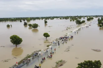 NIHSA Declared River Benue Safe From Flood Risk After Water Levels Receded