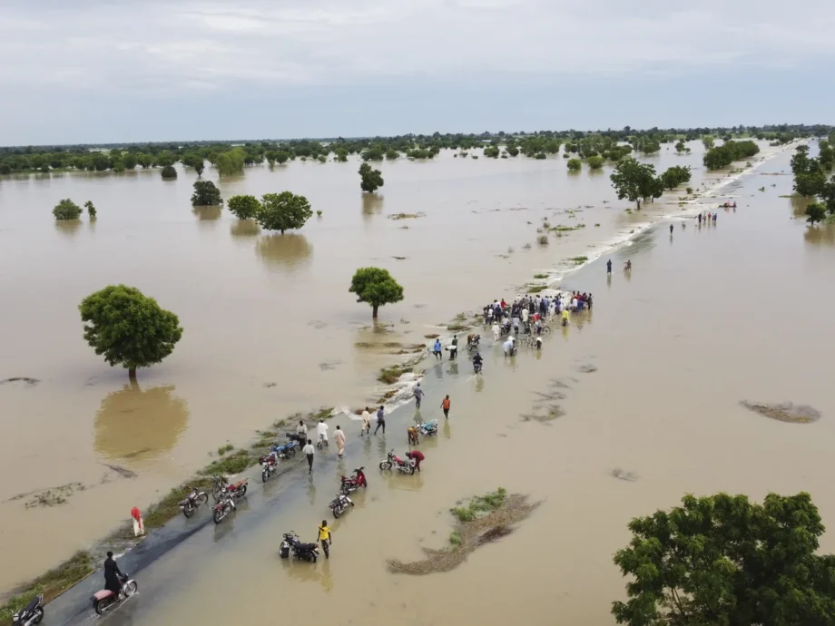 NIHSA Declared River Benue Safe From Flood Risk After Water Levels Receded