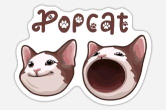 Popcat Soars 11% as Dogecoin Pulls Back Following Market-Leading Surge