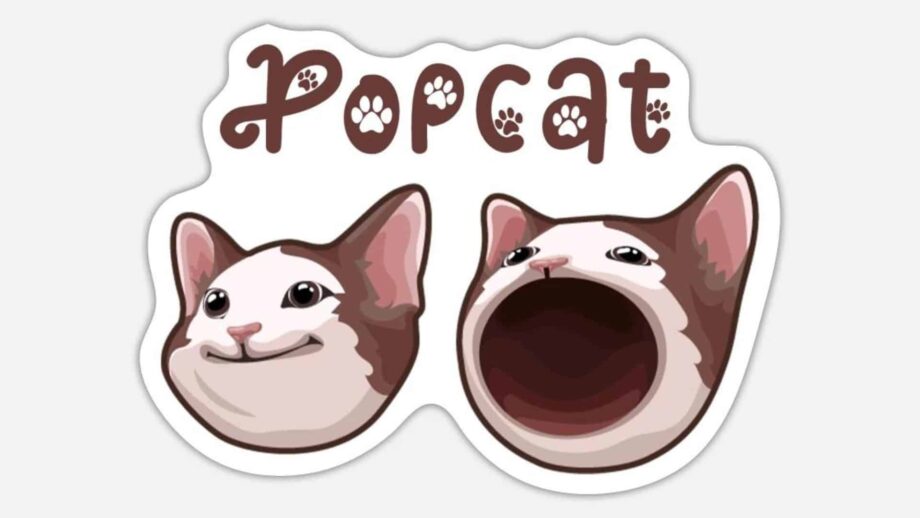 Popcat Soars 11% as Dogecoin Pulls Back Following Market-Leading Surge