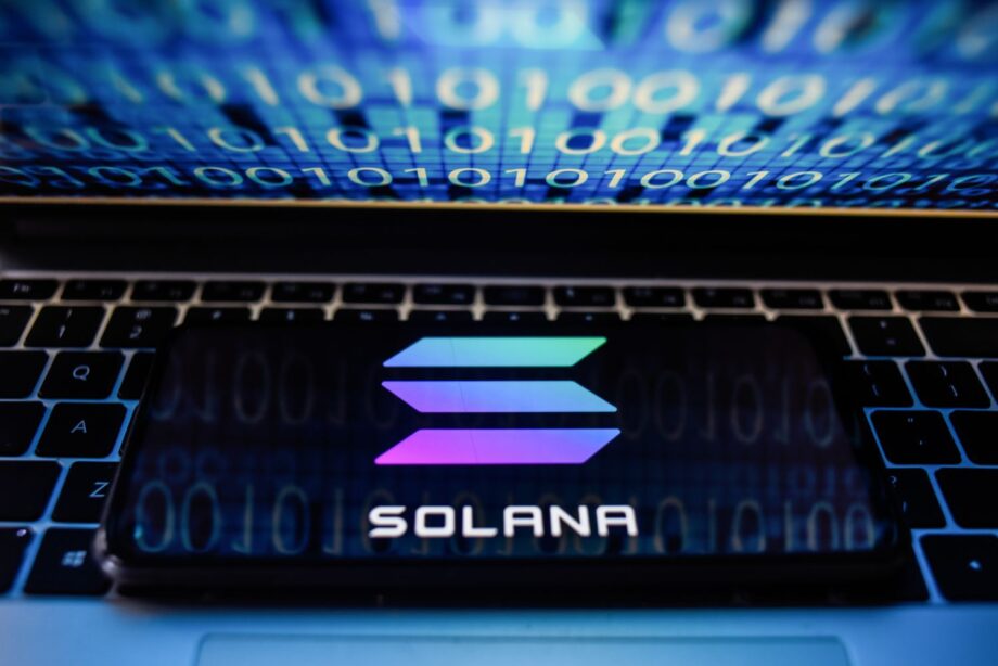 The Year of Solana: 2024 Sees Global Crypto Love Surge Nearly 40%